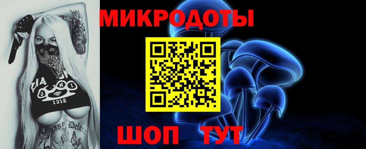 Иваново  Псилоцибиновые грибы Cubensis  Вход с VPN 